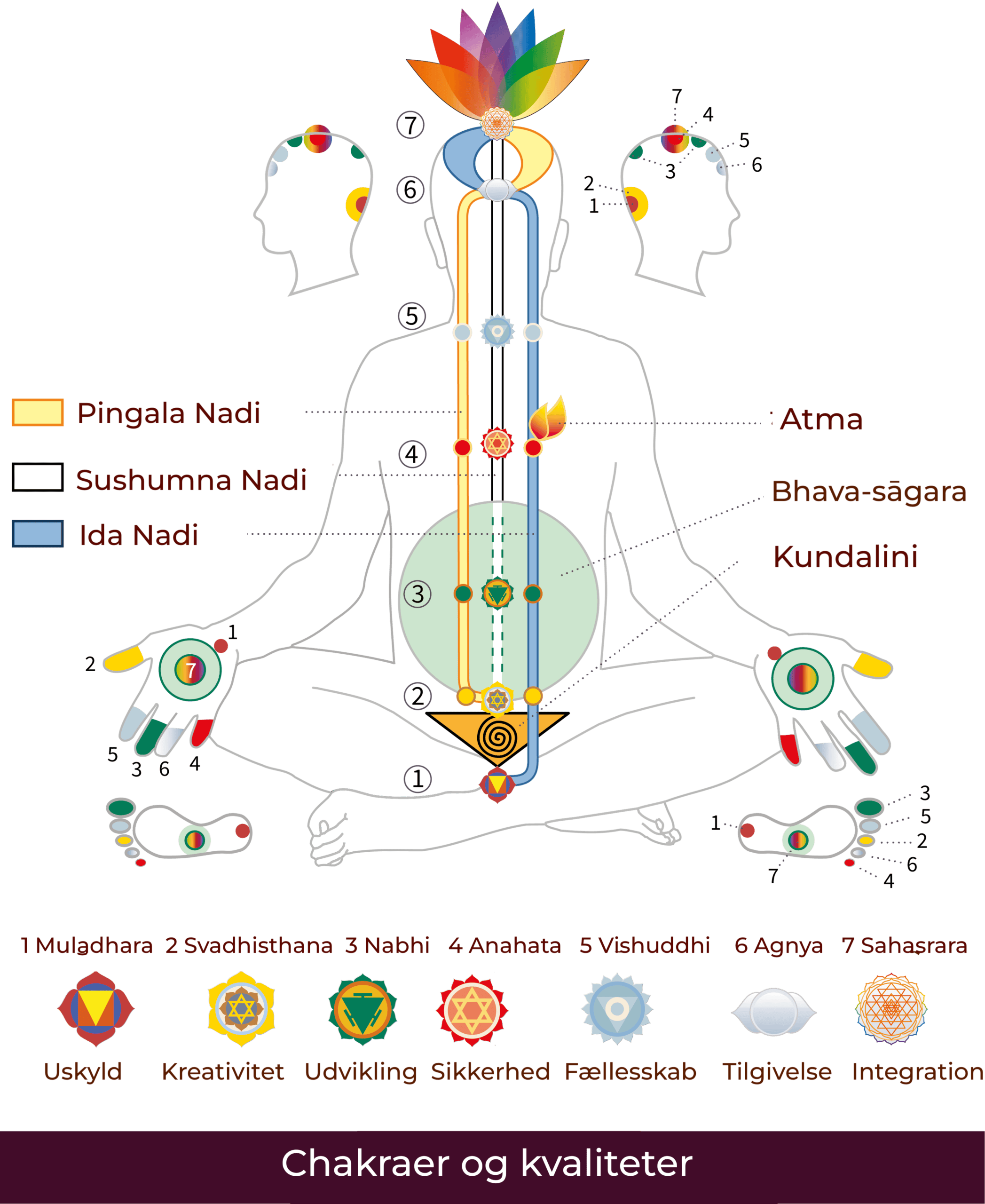da-Chakras_Qualities_SMO-01