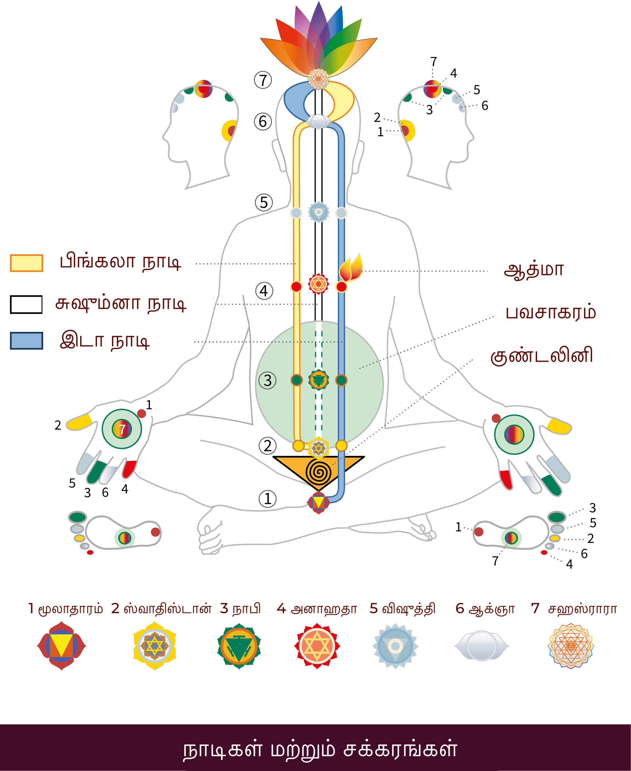 ta-Nadis_Chakras-01