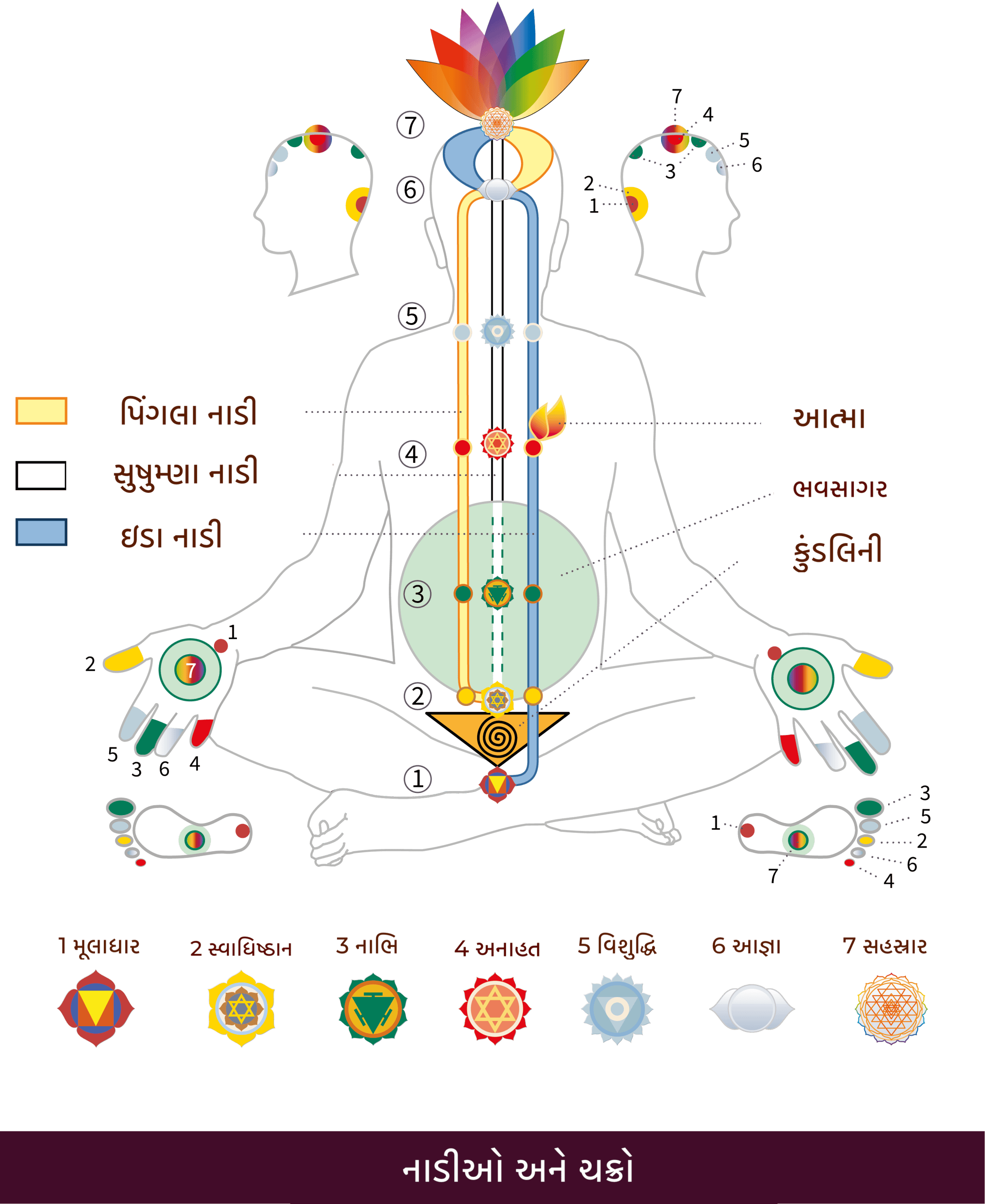 gj-Nadis_Chakras-01-scaled
