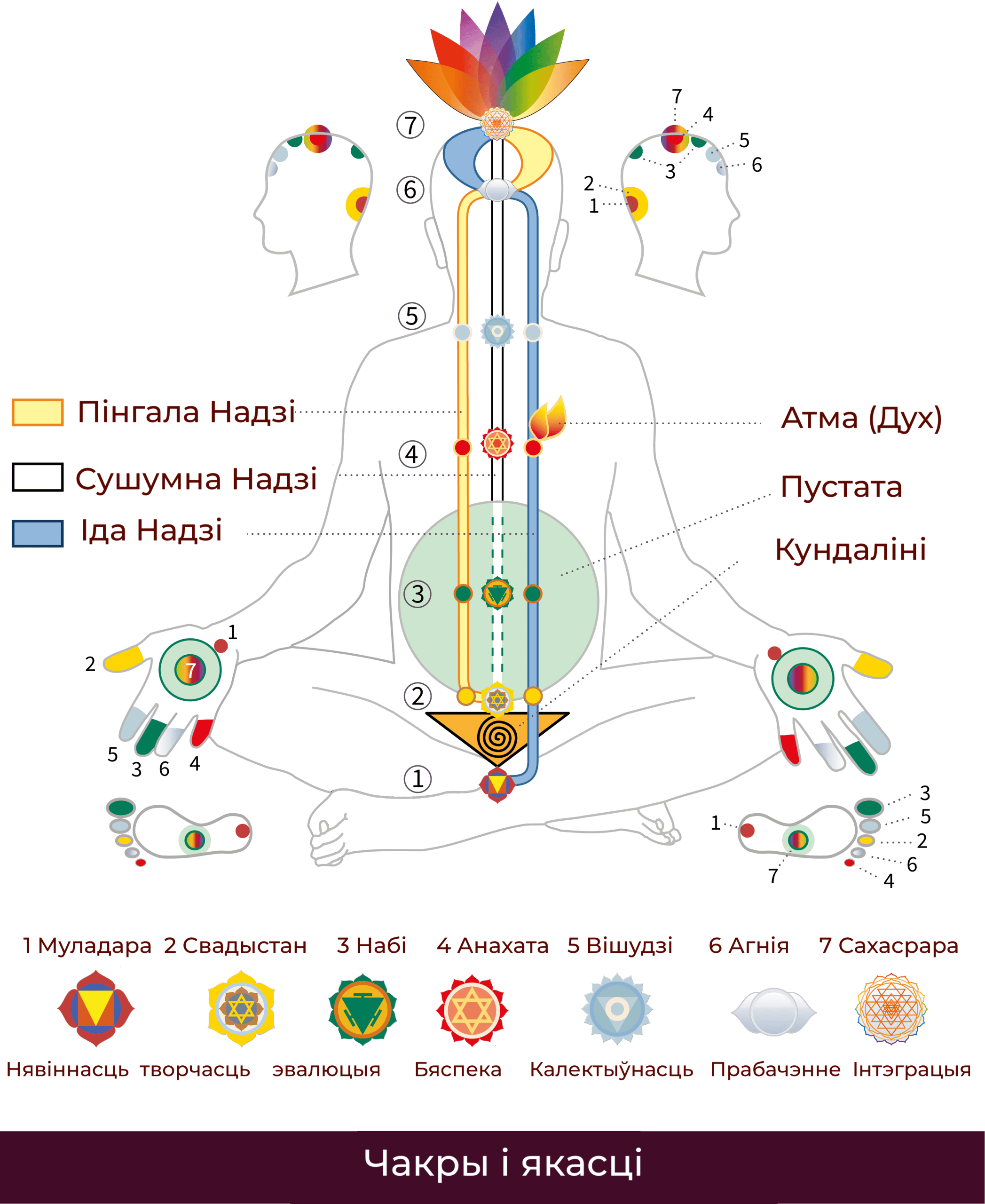 be-Chakras_Qualities_SMO-01