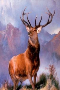 Monarch of the Glen