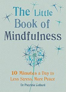 the little book of mindfulness