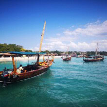 zanzibar safari blue