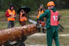 Условия труда инженера по лесофонду