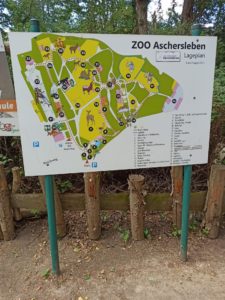 107488338 10157222430681722 7100697612247063390 n 225x300