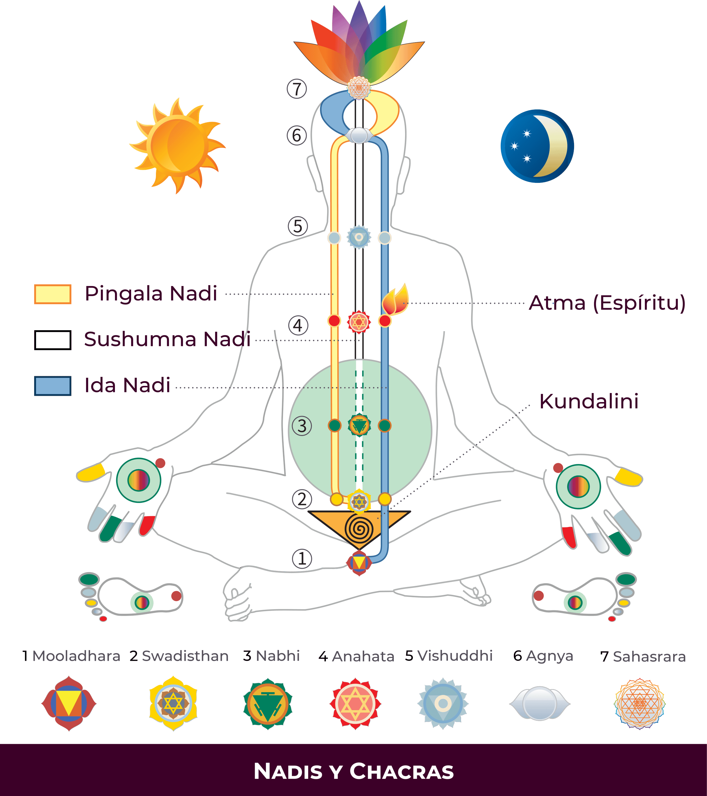 ES-Chakras-scaled
