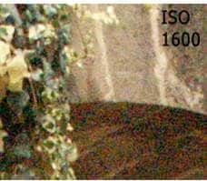Picture4
