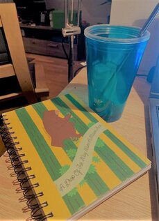 My friend Megha : And her stash of stationary 2 My friend Megha : And her stash of stationary