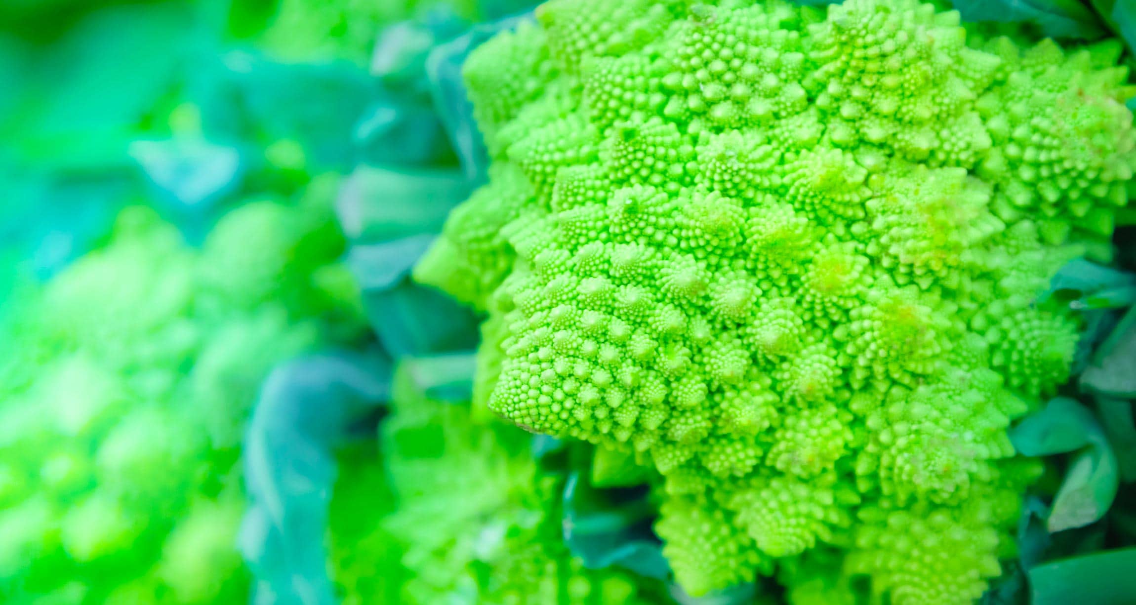 green cruciferous vegatable