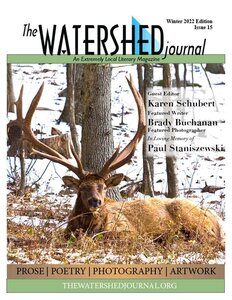 Read more about the article Winter 2022 Letter from the Guest Editor