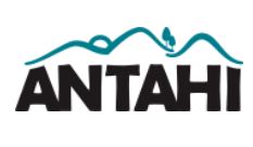 Antahi