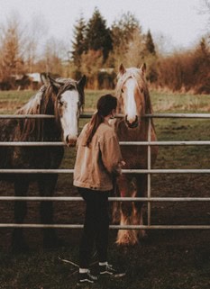 The Unexpected Power of Human-Horse Connection