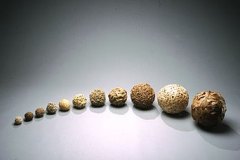 Spheres by Judith Boesky