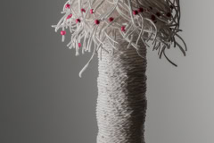Lissa-de-Sailles-Sea-Anemone