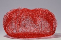 Big Red by Nancy Koenigsberg