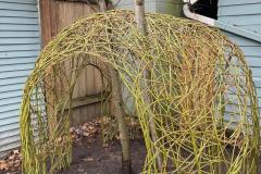 covert_tree