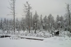 IMG_20220111_094308
