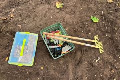 Arbeitseinsatz-Waldnest-2026-10-10-2