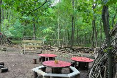 Arbeitseinsatz-Waldnest-2026-10-10-3