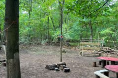 Arbeitseinsatz-Waldnest-2026-10-10-4