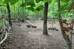 Arbeitseinsatz-Waldnest-2026-10-10-5