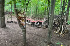 Arbeitseinsatz-Waldnest-2026-10-10-6