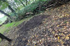 Arbeitseinsatz-Waldnest-2026-10-10-7