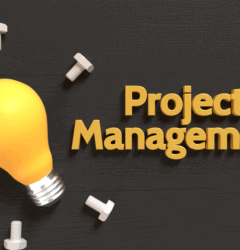 Project Manager