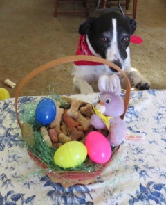 Peggy Zortman Spring 2021 Online Exclusives