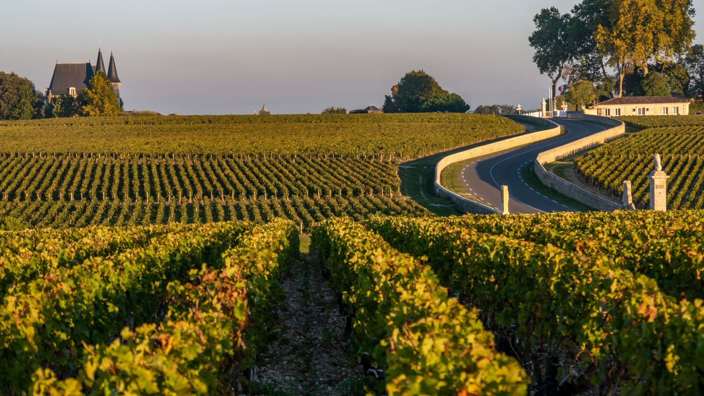 medoc