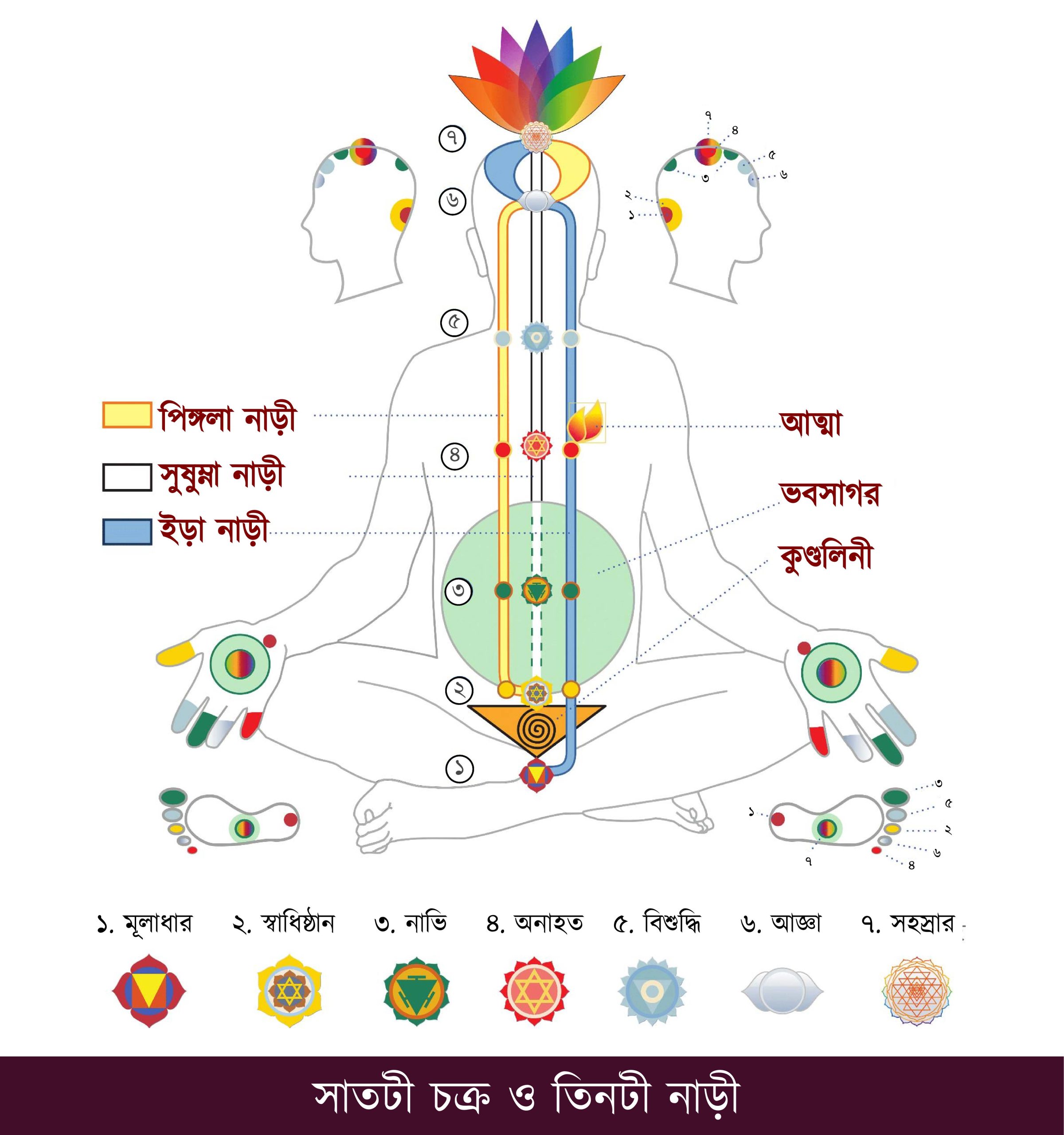 Chakra-Charts_BN_Page_11_Image_0001-scaled