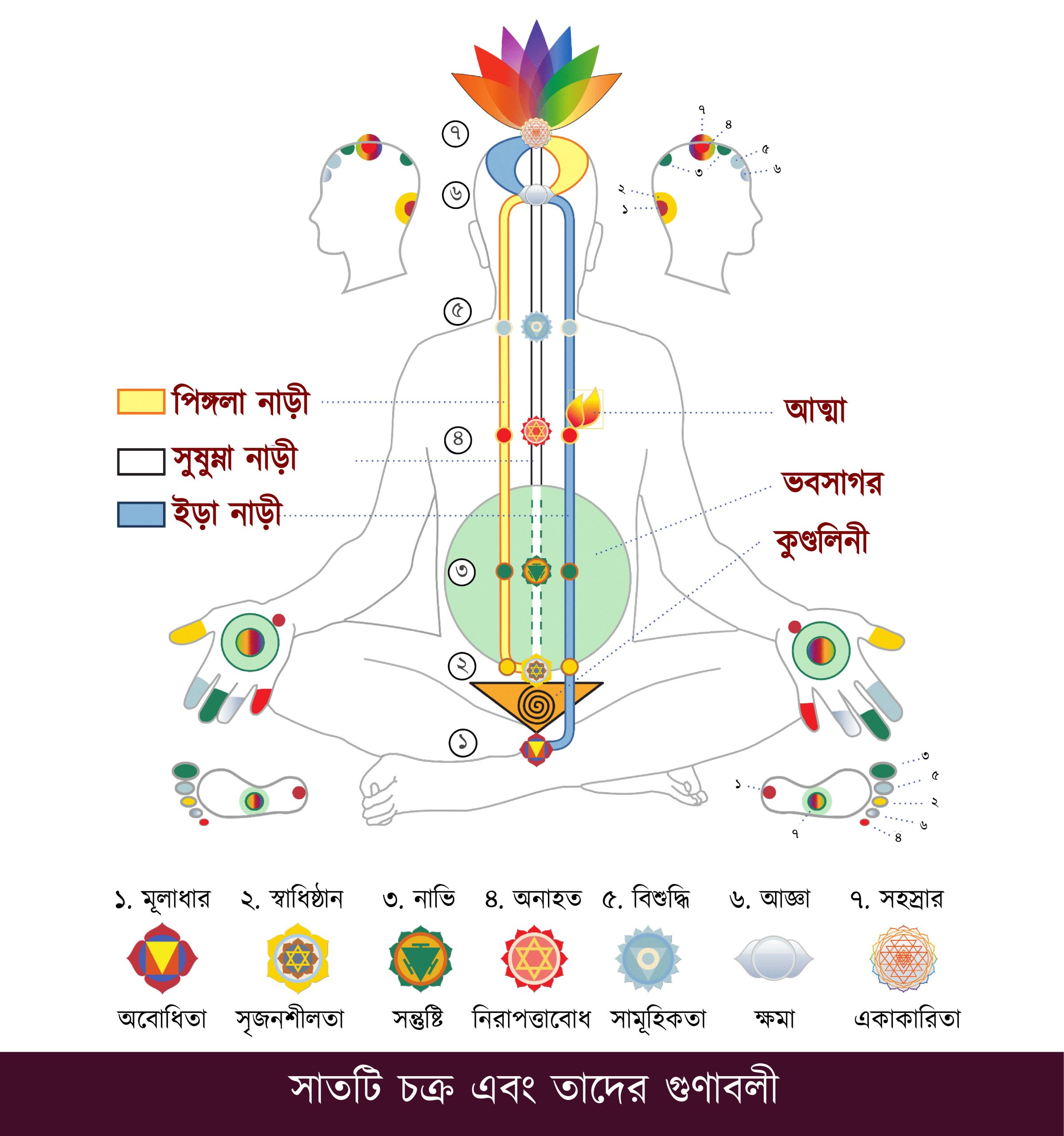 Chakra-Charts_BN_Page_12_Image_0001-scaled