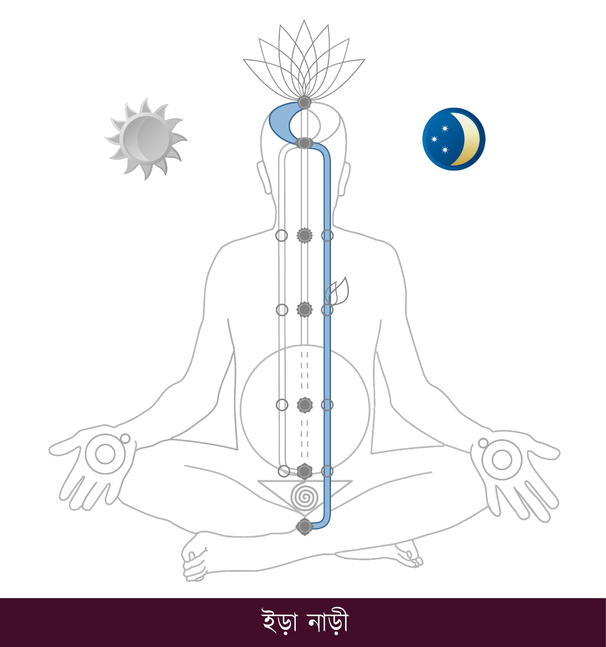 Chakra-Charts_BN_Page_14_Image_0001-scaled-1