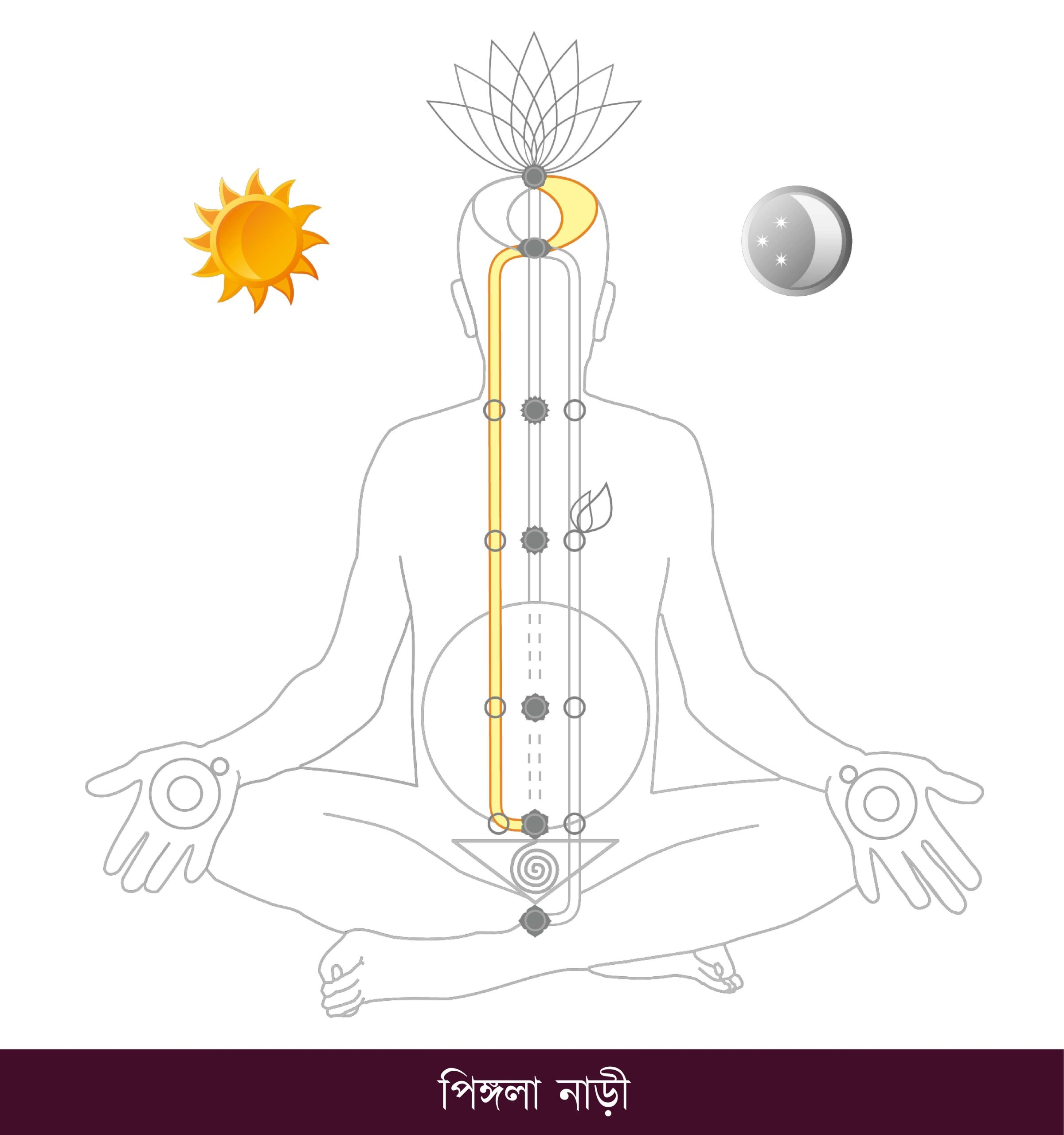 Chakra-Charts_BN_Page_15_Image_0001-scaled