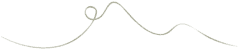 curly line page separator
