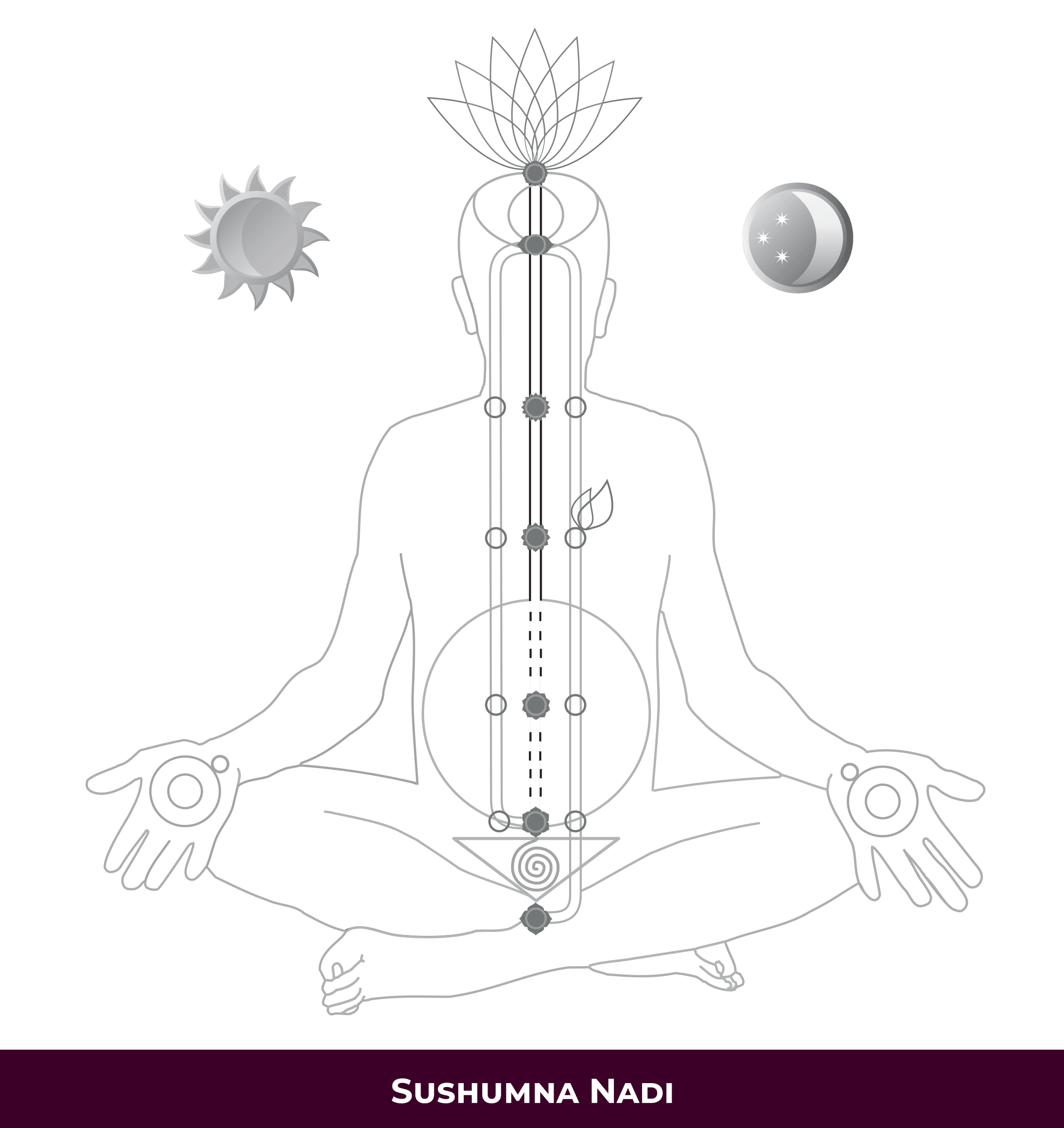 FR-0-1-Sushumna-Nadi-scaled