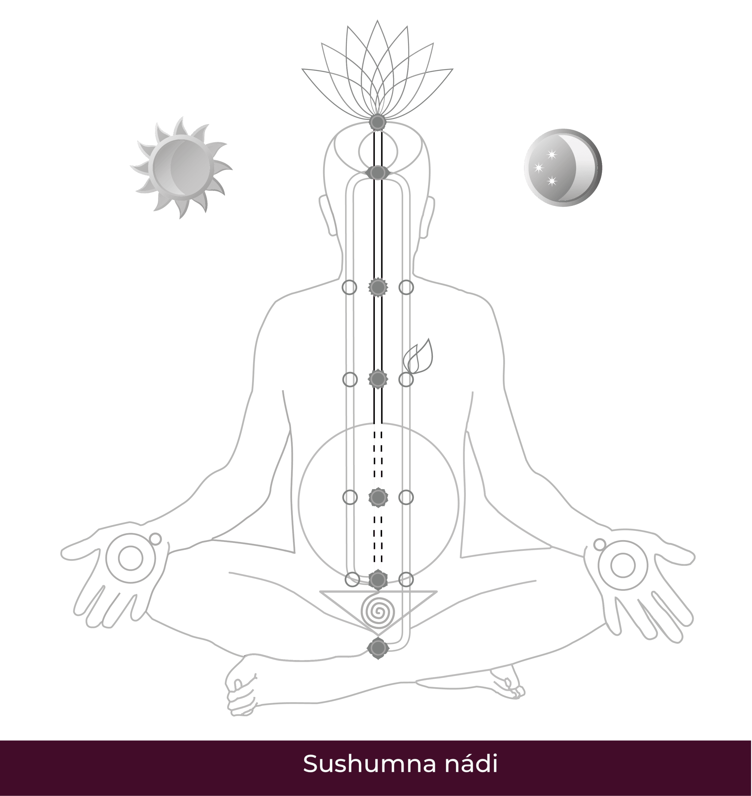 hu-Sushumna Nadi-01