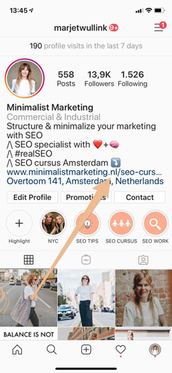 link in bio wat betekent dat