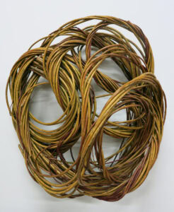 Rose Covert - Entwined Golden