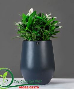 Chậu composite tròn bầu T2