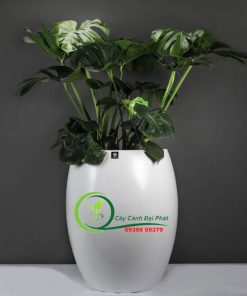 Chậu composite tròn bầu T4