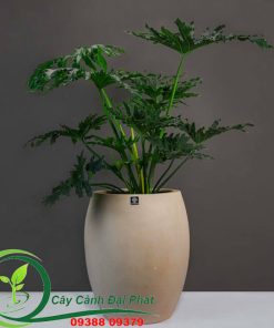 Chậu composite tròn bầu T5