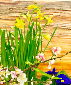 Frühling