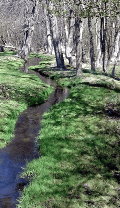 Newton Stormwater Infrastructure Improvement Plan Newton Stormwater Infrastructure Improvement Plan
