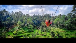 BALI - Ostrvo bogova - Manga Trip BALI - Ostrvo bogova - Manga Trip
