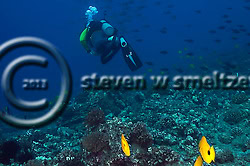 Fish Rain, Molokai Hawaii (Steven W Smeltzer)