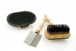 Dog grooming tools on white background