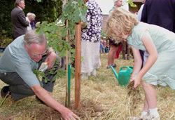 friends of angus wood