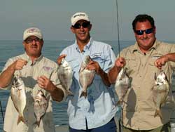 Huntington, NY - Porgies - 2008