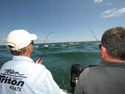 Monomoy Rips, MA - Stripers - 2008